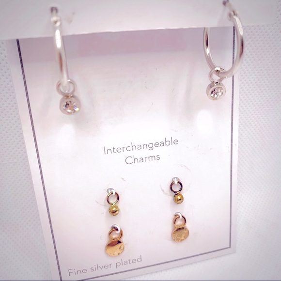 Gold and Silver Interchangeable Earrings Set with Charms - Picture 2 of 8